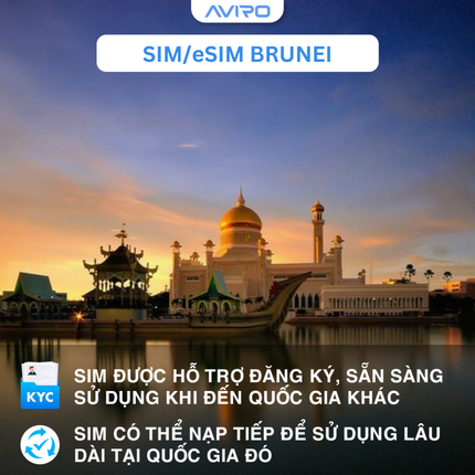 [eSIM] Brunei | Gói tổng dung lượng | 10 ngày | True Move