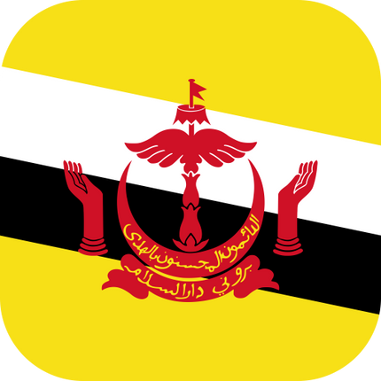 [eSIM] Brunei | Gói tổng dung lượng | 10 ngày | True Move