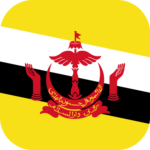 [eSIM] Brunei | Gói tổng dung lượng | 10 ngày | True Move
